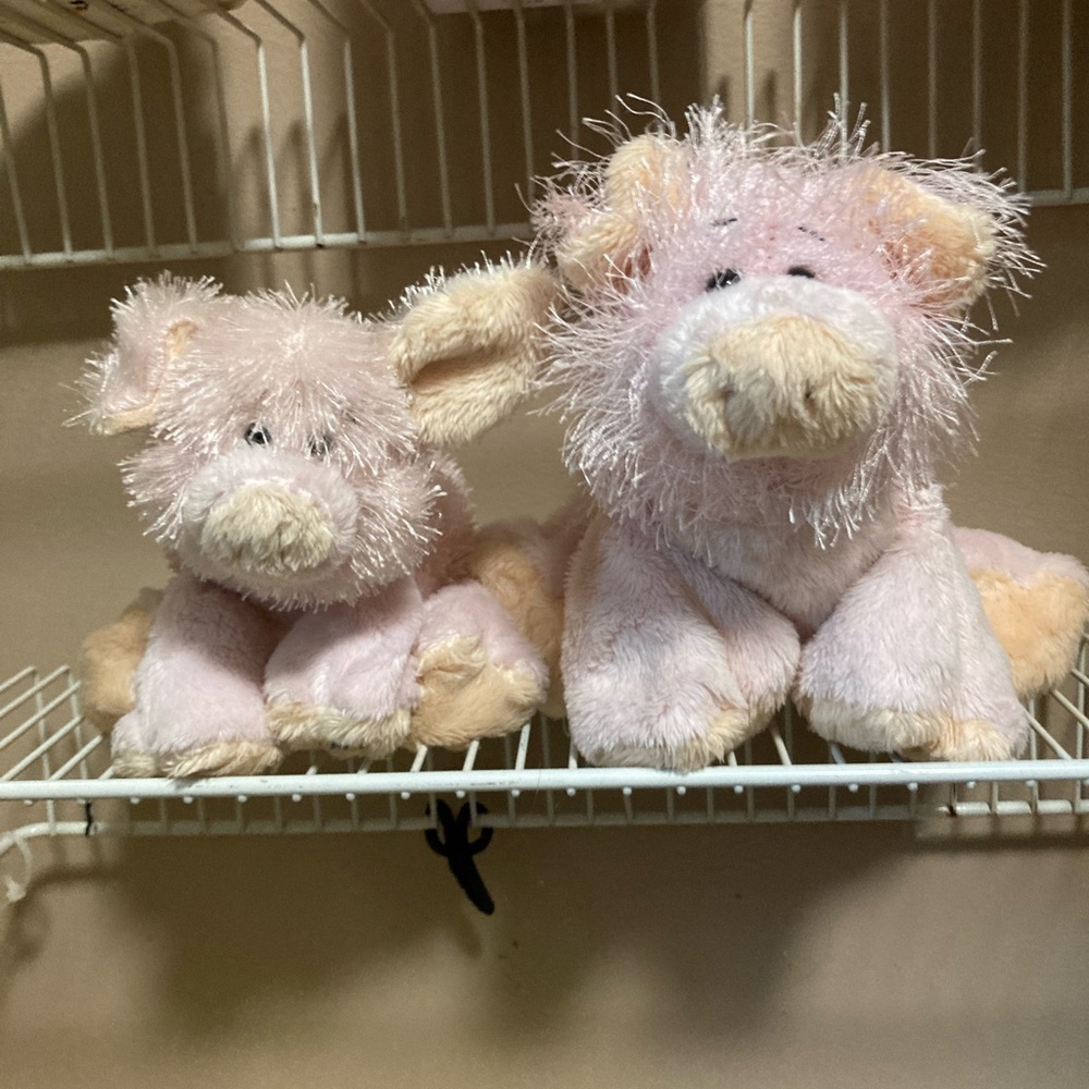 Webkinz pigs